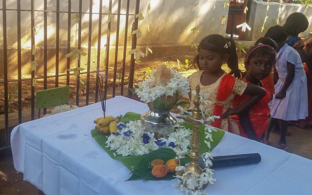 තෛපොංගල් උත්සවය 2019
